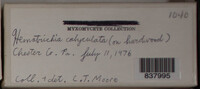 Image Associated With the Occurence